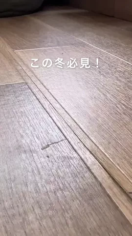 はっしー|ナチュラルモダンと簡単DIYのTikTok投稿
