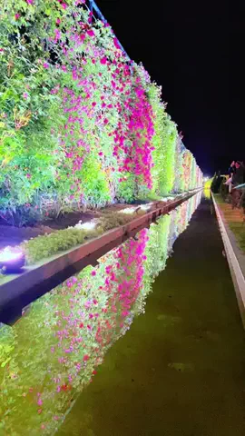 ハイスイ🐬🌱のTikTok投稿