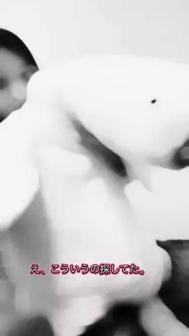kzshing japan shopのTikTok PR投稿：かわいいアヒル型クッション見つけた🐥✨ やわらかな手…