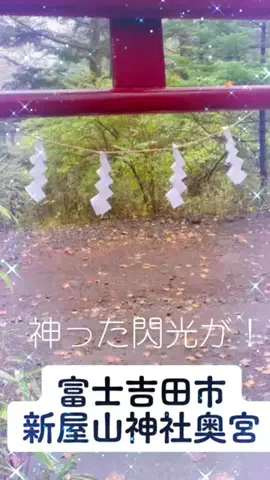 🛥️tama🐉のTikTok投稿