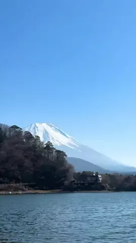 🛥️tama🐉のTikTok投稿
