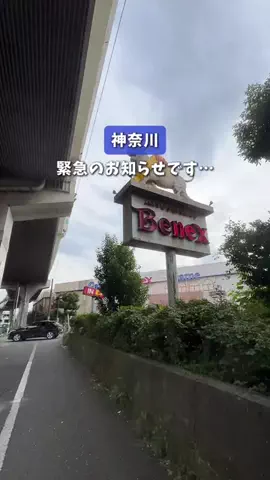 なお | 神奈川発の週末おでかけガイド📘のTikTok投稿