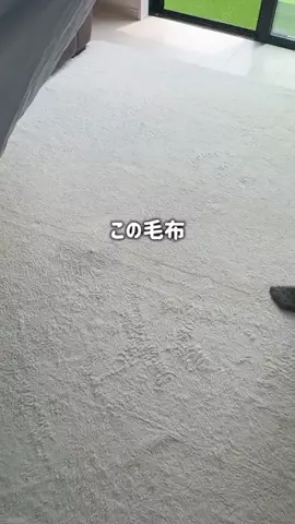 のんのん🍠🌻のTikTok投稿