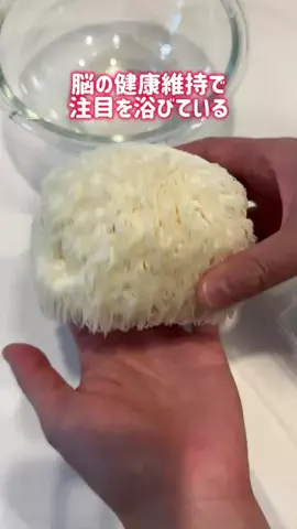 のんのん🍠🌻のTikTok投稿