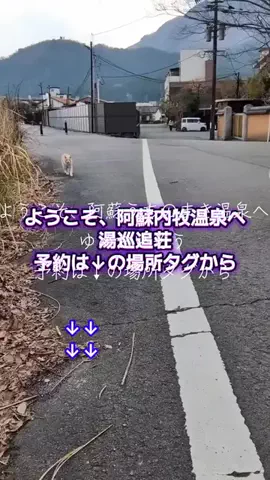 トアンもん　チャンネルのTikTok投稿
