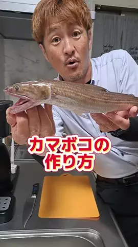 広島たにさんのぼれやびゃー動画のTikTok投稿