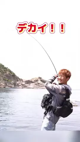 広島たにさんのぼれやびゃー動画のTikTok投稿