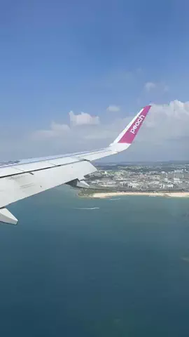 しごおわ主婦のTikTok投稿