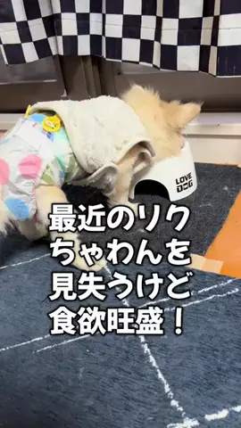 天結のTikTok投稿