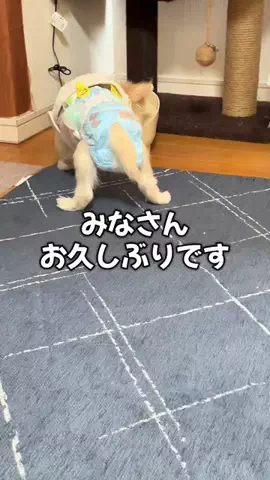 天結のTikTok投稿
