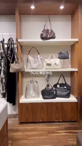 そがぴのTikTok投稿