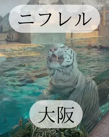 りさの休日🥂🐰🧡のTikTok投稿