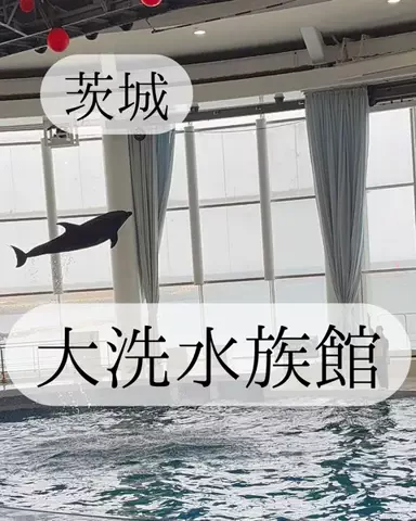 りさの休日🥂🐰🧡のTikTok投稿