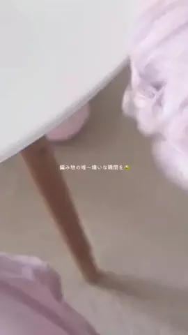 chipichapa౨ৎのTikTok投稿