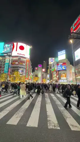 Fun travel JapanのTikTok投稿