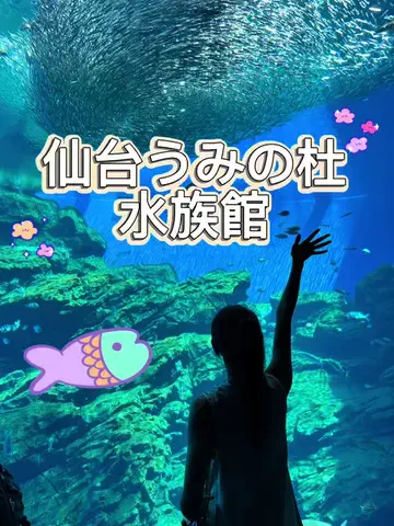 パックのTikTok投稿