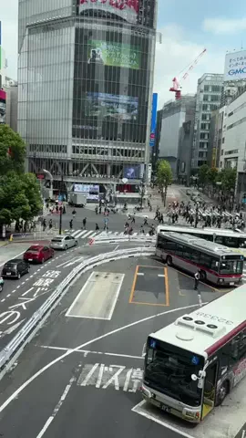Fun travel JapanのTikTok投稿