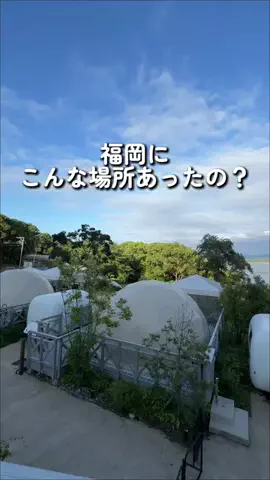 ももの|失敗しない福岡グルメのTikTok投稿