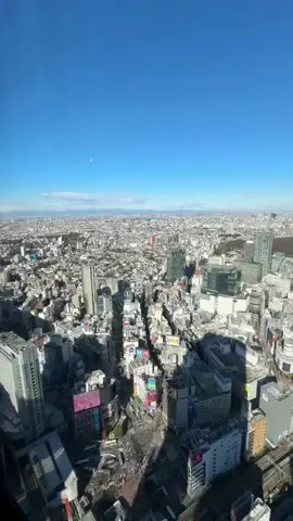 Fun travel JapanのTikTok投稿