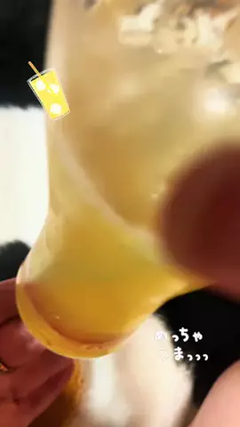 🐼ネAsami申🐈‍⬛🏴‍☠️のTikTok投稿