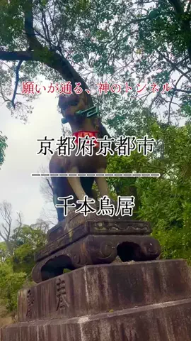 茨城と栃木の県境に住んでいますのTikTok投稿
