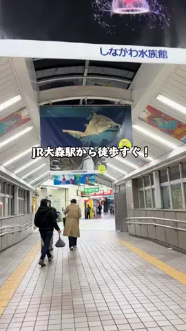 Sample2023のTikTok投稿