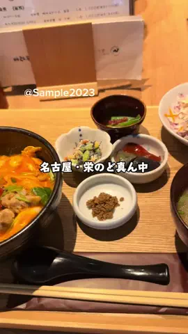 Sample2023のTikTok投稿