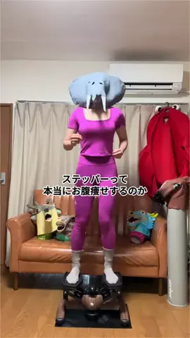 姉妹ダイエッター🐘PAONS【パオンズ】のTikTok投稿