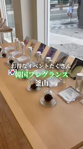 K-PAL【ケーパル】🇰🇷韓国情報のTikTok投稿