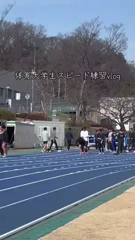 つっちーのTikTok投稿