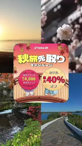 ポロ_身近なお出かけスポット紹介のTikTok投稿