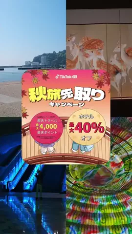 ポロ_身近なお出かけスポット紹介のTikTok投稿