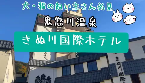 ℂ𝕆ℂ𝕆𝔸のTikTok投稿