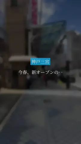全力神戸グルメ@全力マネージャーあやぱんのTikTok投稿