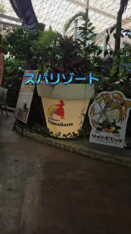 ℂ𝕆ℂ𝕆𝔸のTikTok投稿