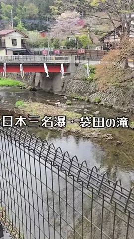 ℂ𝕆ℂ𝕆𝔸のTikTok投稿