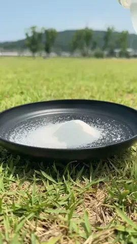 ウーパパのキャンプ道具紹介のTikTok投稿
