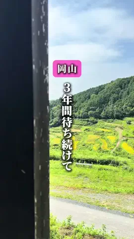 やま | 岡山市 カフェ&グルメのTikTok投稿