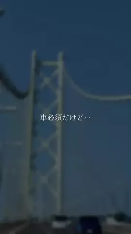 全力神戸グルメ@全力マネージャーあやぱんのTikTok投稿