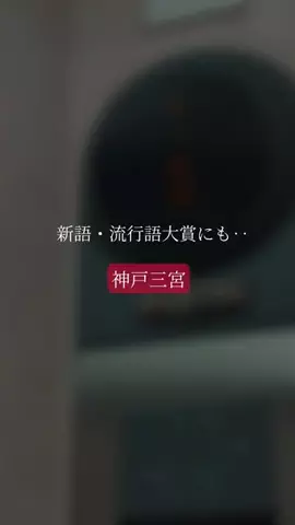 全力神戸グルメ@全力マネージャーあやぱんのTikTok投稿