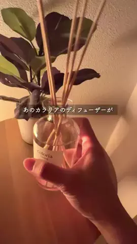 かわ | 28歳一般会社員のTikTok投稿