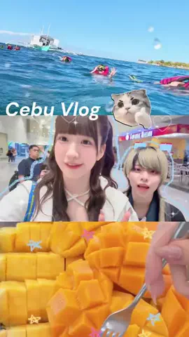 ふぇありーているず！のTikTok PR投稿：セブ島に弾丸体験ダイビングへ行ってきました〜🚗³₃ S…
