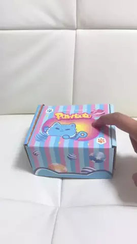 ninfiastarのTikTok投稿