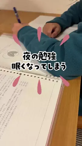 ポチたま中学受験のTikTok投稿