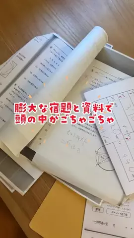 ポチたま中学受験のTikTok投稿