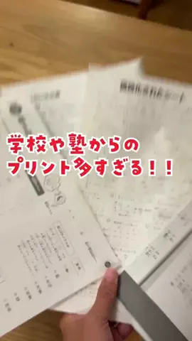 ポチたま中学受験のTikTok投稿