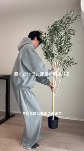 あめ｜100日後に垢抜け部屋を作るニートのTikTok投稿