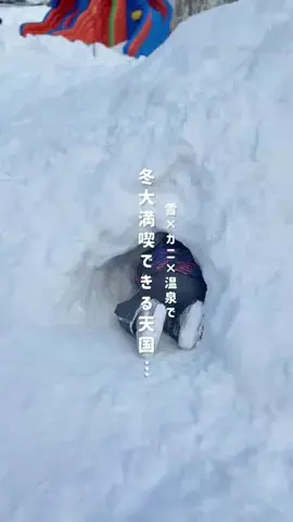えむ🦊関西🦊子連れおでかけのTikTok投稿