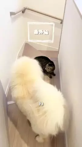 みぃちゃん🐻️🌹のTikTok投稿