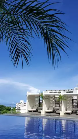 沖縄グルメ／OKINAWA SELECTのTikTok投稿